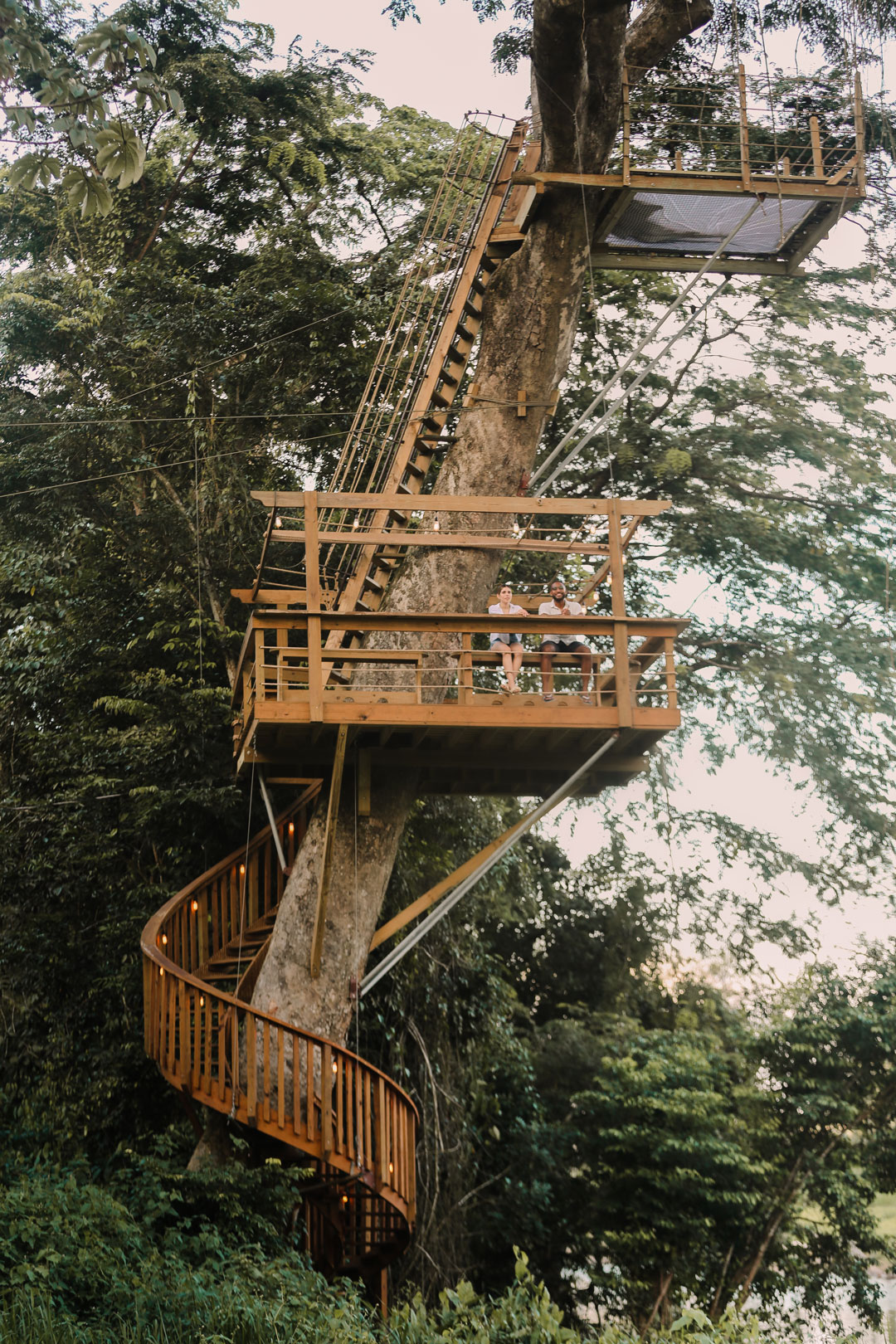 The guests sitting in the nest treehouse at The Rainforest Lodge at Sleeping Giant