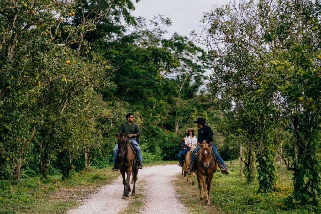 Couple horseback riding along a jungle trail at Sleeping Giant Rainforest Lodge in Belize.
