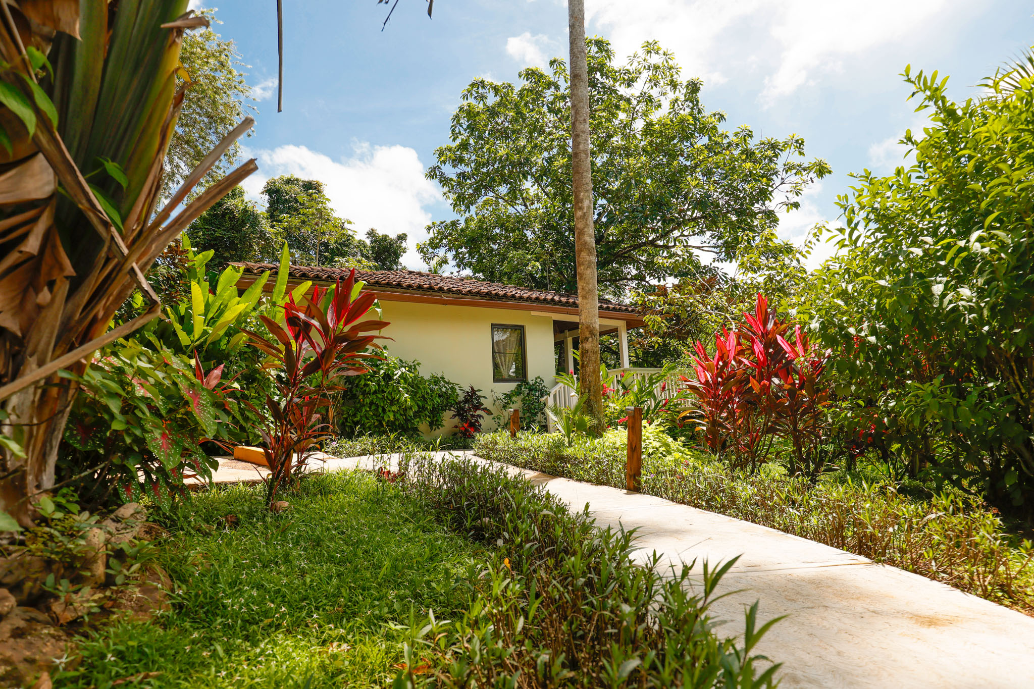 Pathway to the Jungle Cottage with Plunge Pool at The Rainforest Lodge at Sleeping Giant