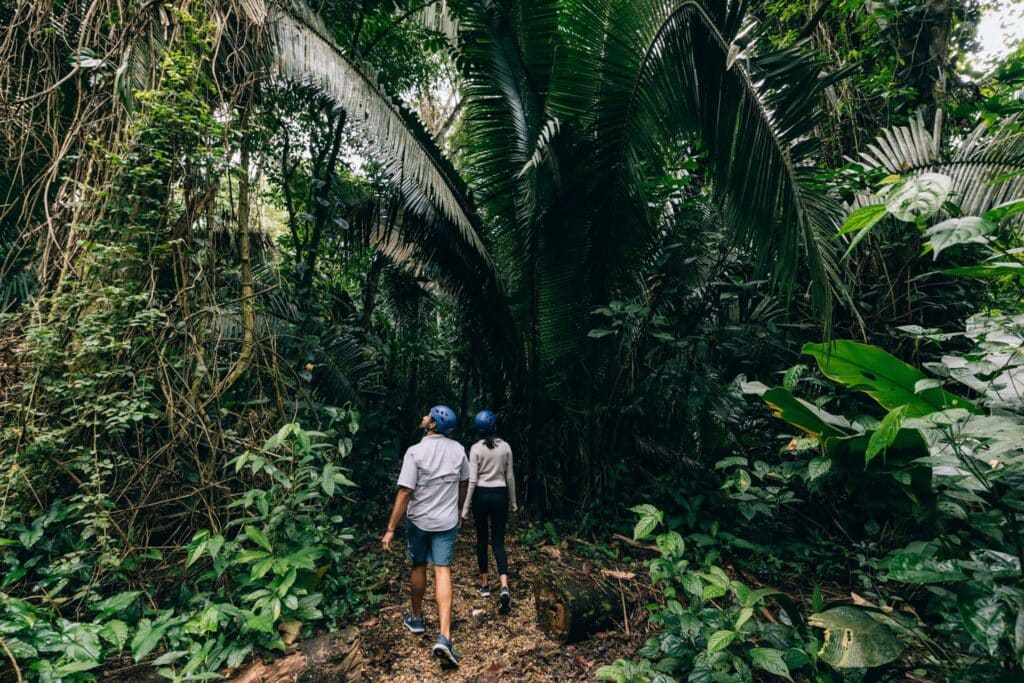 Image from sleepinggiantbelize.com