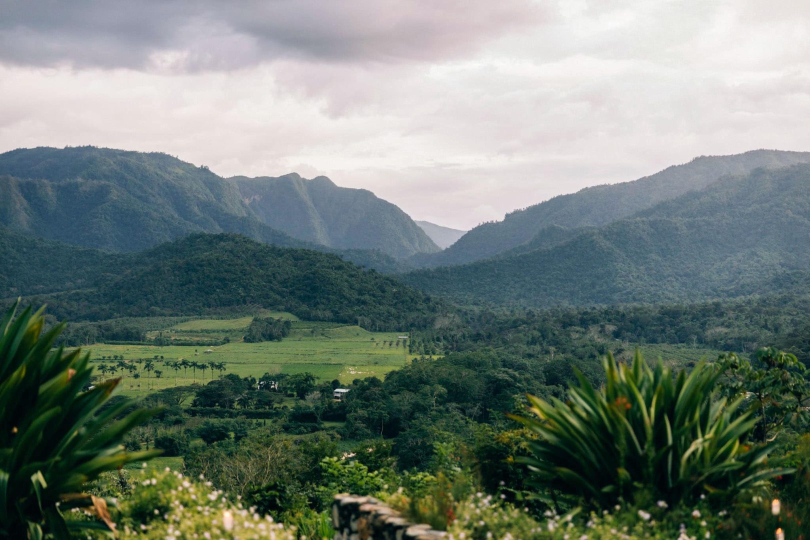 ACP_TBC_GIANT_0697-2.jpg